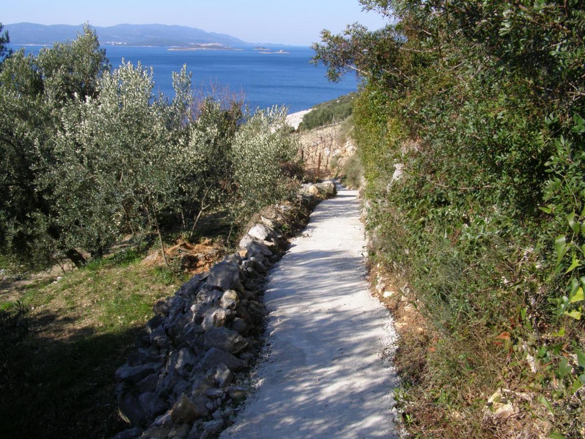 Adriatic Apartment Orebic Exterior photo